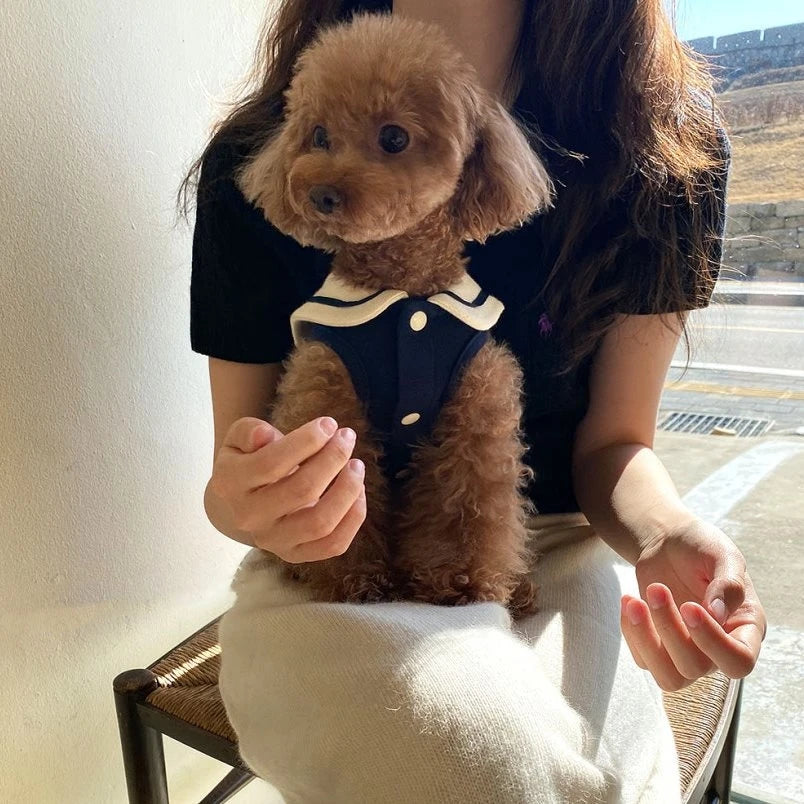 S48958f1881f94abeb08c9200628355d9q